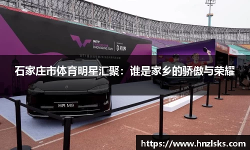 石家庄市体育明星汇聚：谁是家乡的骄傲与荣耀